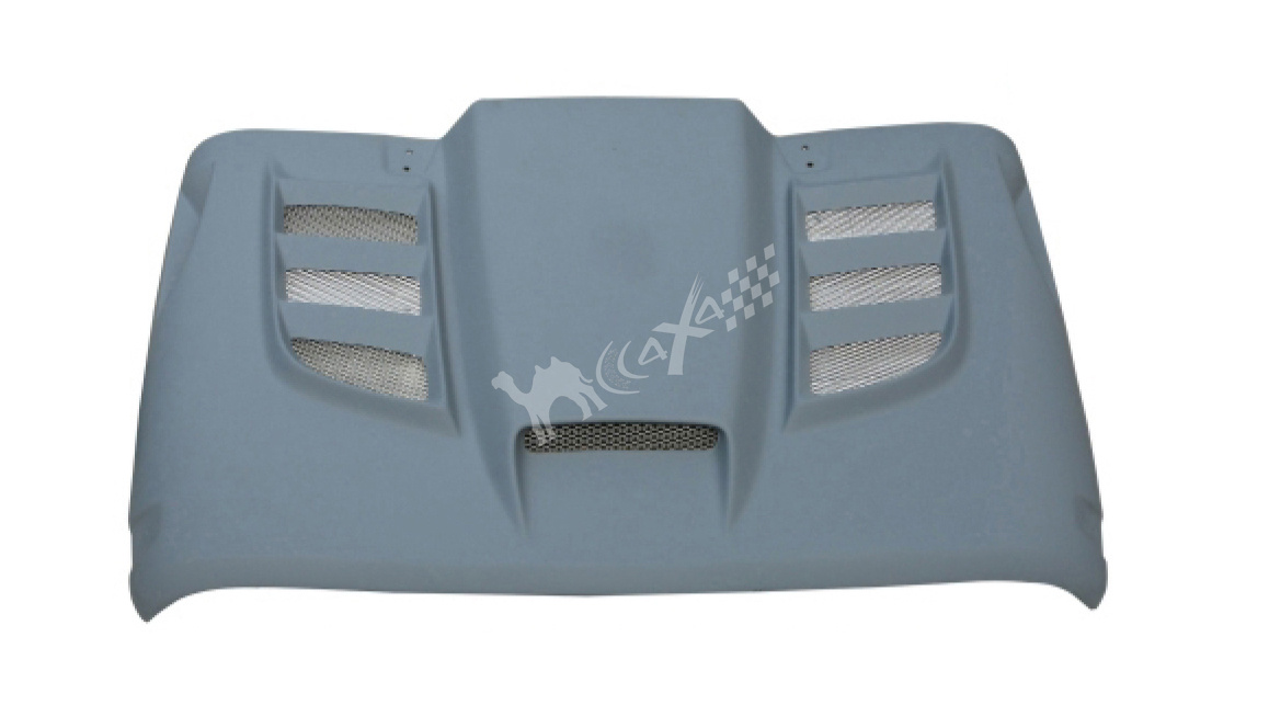 Fiber Glass Hood